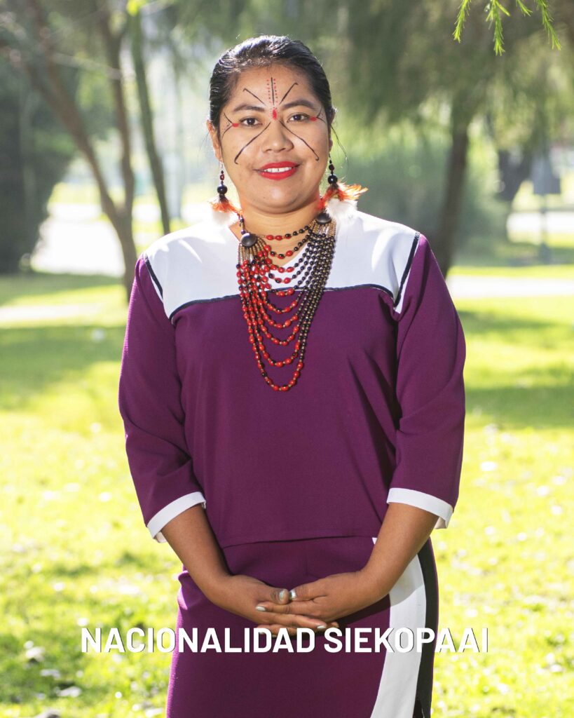 Pueblos y Nacionalidades-14